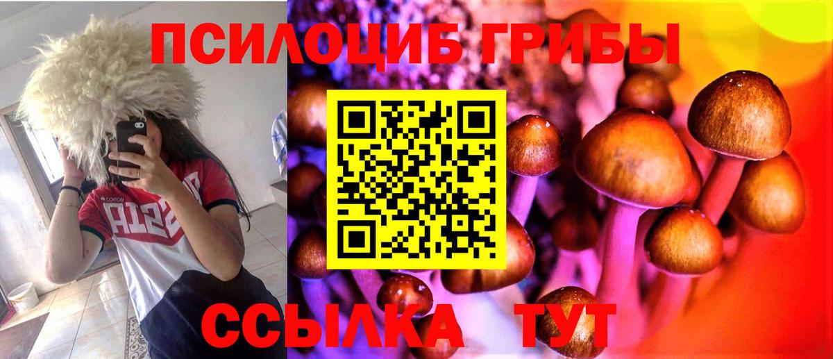 Галлюциногенные грибы GOLDEN TEACHER  Галлюциногенные грибы мухоморы  наркотики  Вход с VPN  Фрязино 