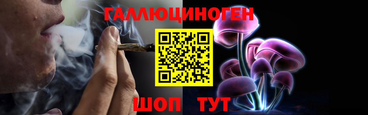 Псилоцибиновые грибы мицелий Фрязино